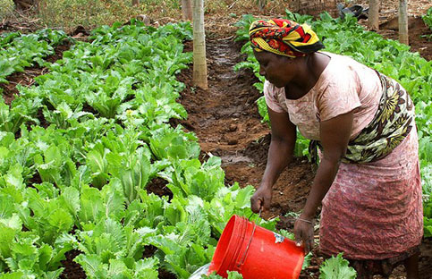 uhuden-sustainable-agri